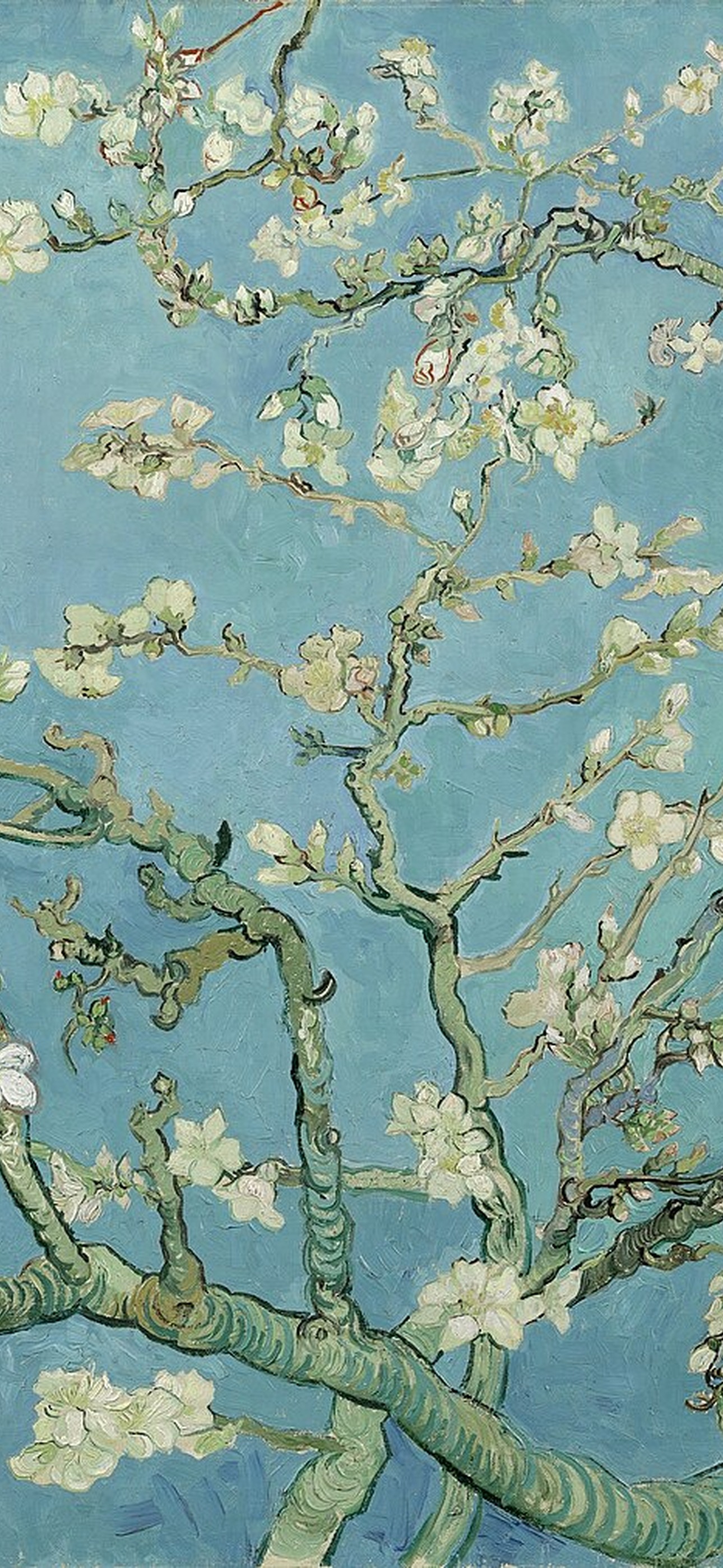 Almond Blossom wallpaper preview