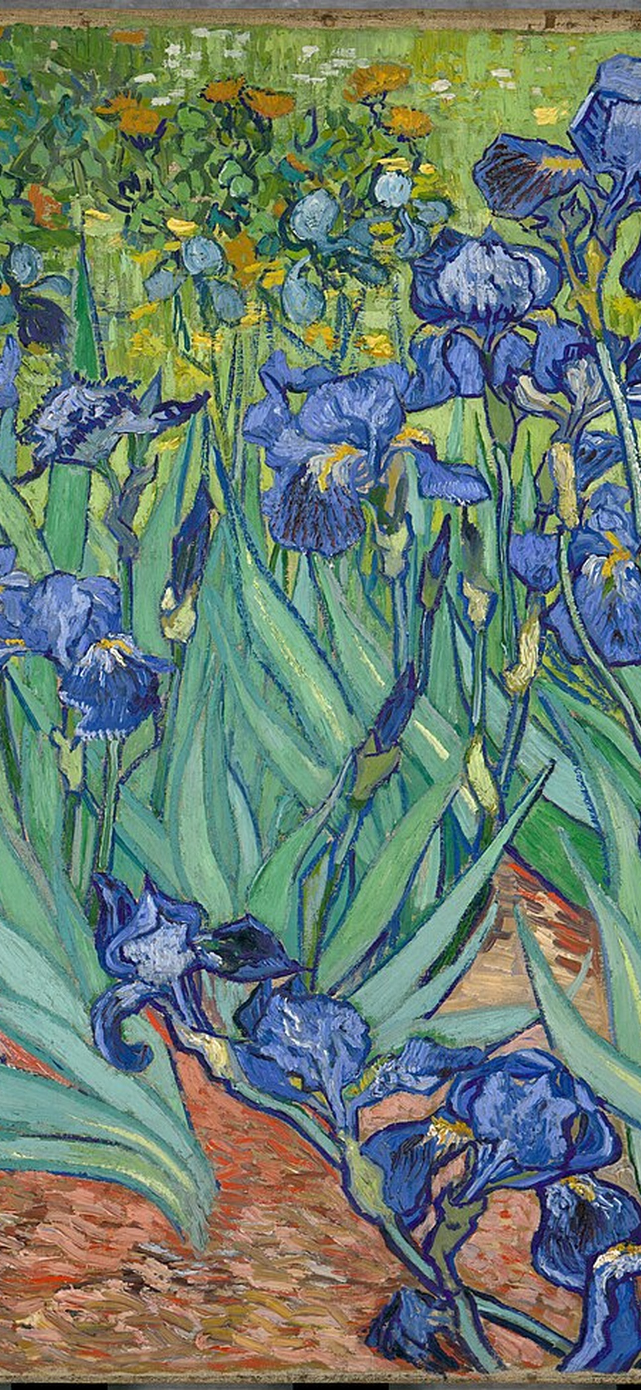 Irises wallpaper preview