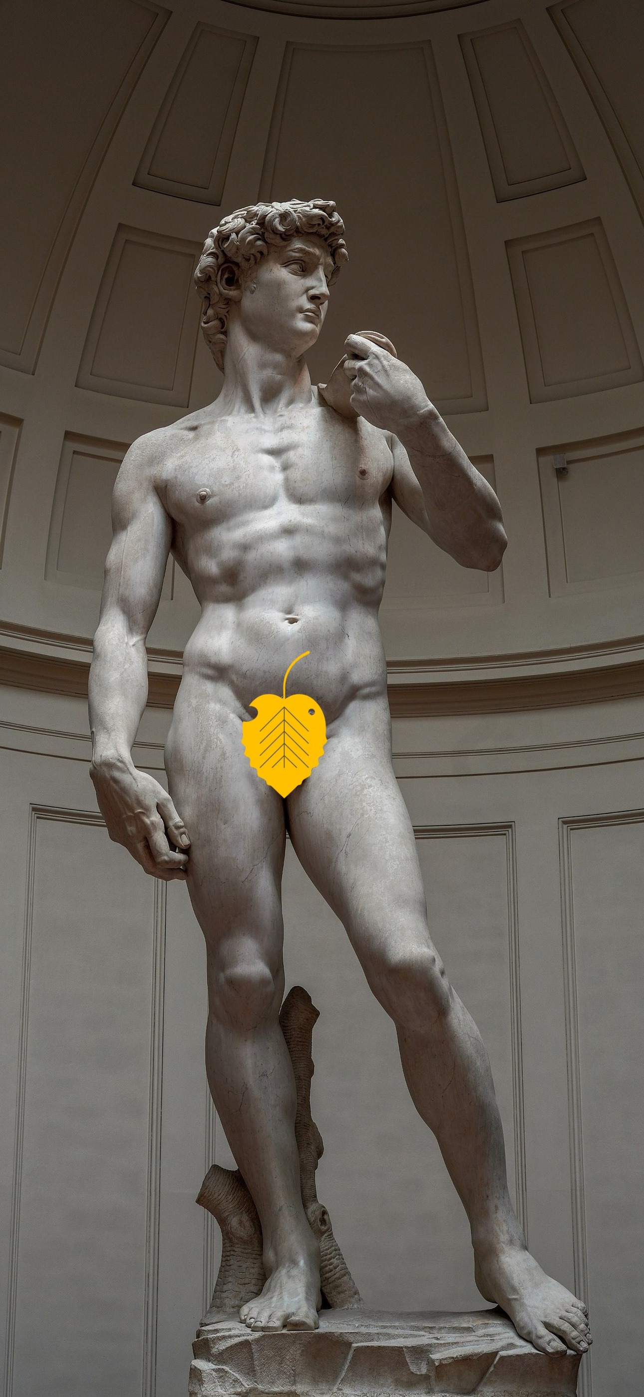 David wallpaper preview