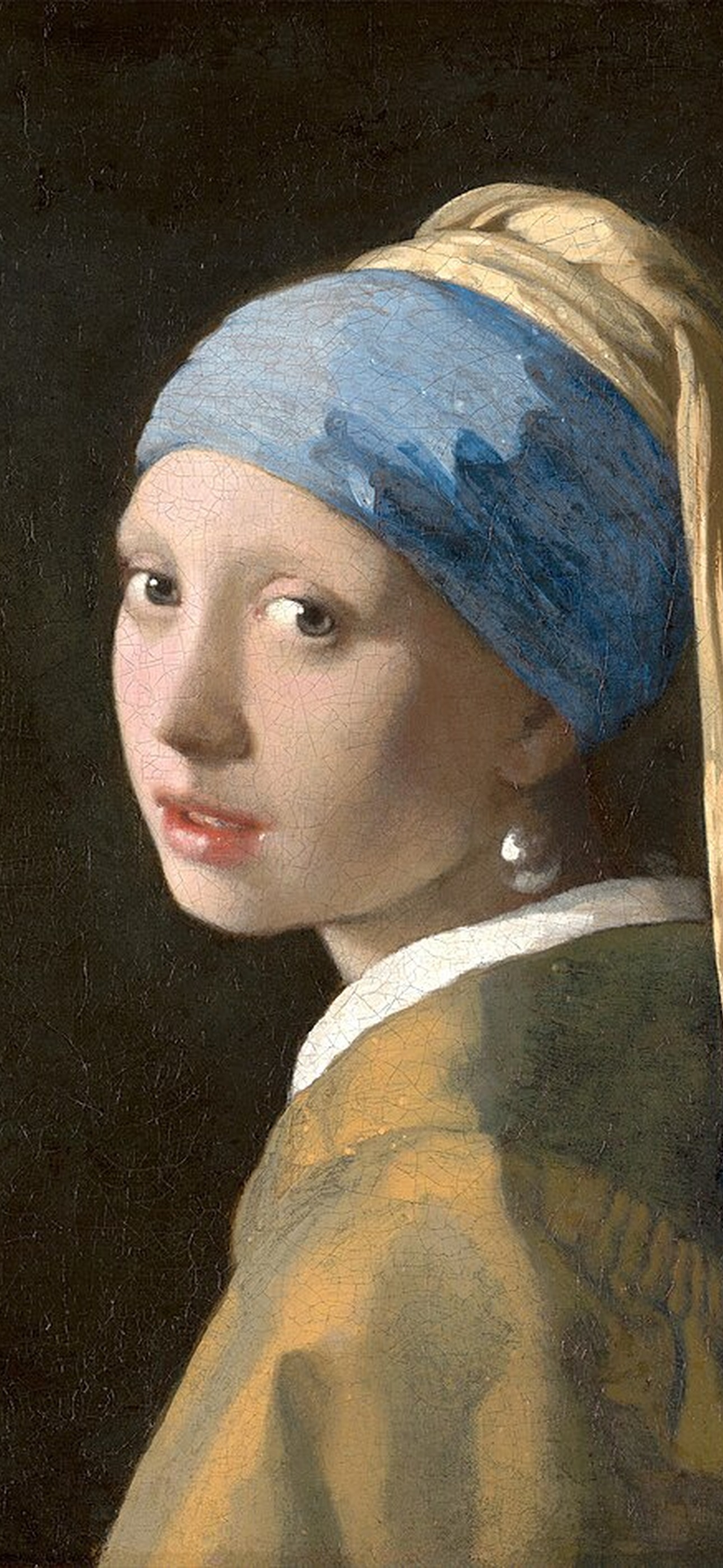 Girl with a Pearl Earring wallpaper preview